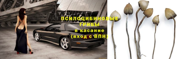 круглые Бронницы