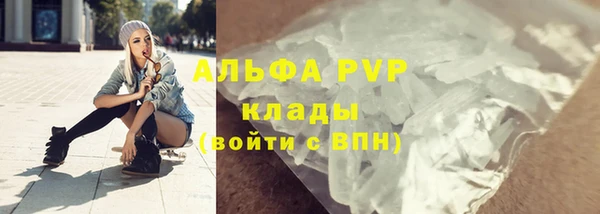 прущие грибы Богородицк