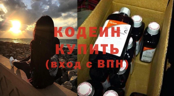 прущие грибы Богородицк