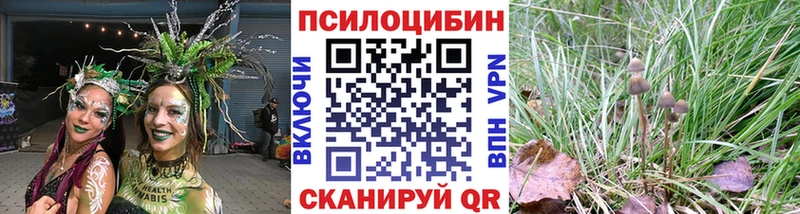 Псилоцибиновые грибы Cubensis  hydra   Новочеркасск 